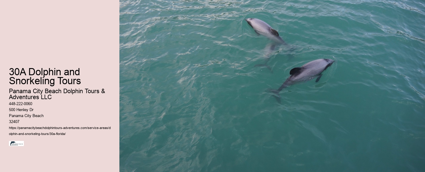 What is the best time of year for dolphin watching in 30A
