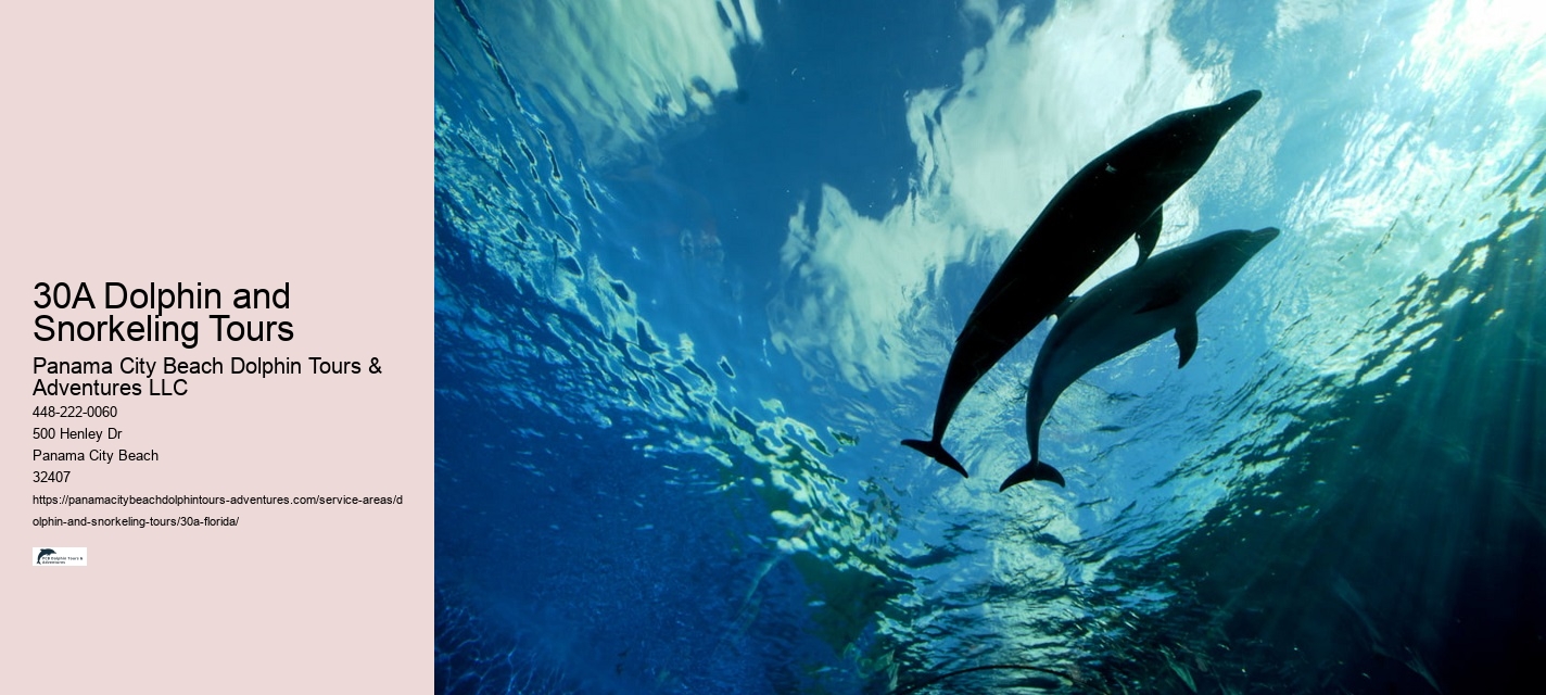 30A Historical Shipwreck Snorkeling Tours