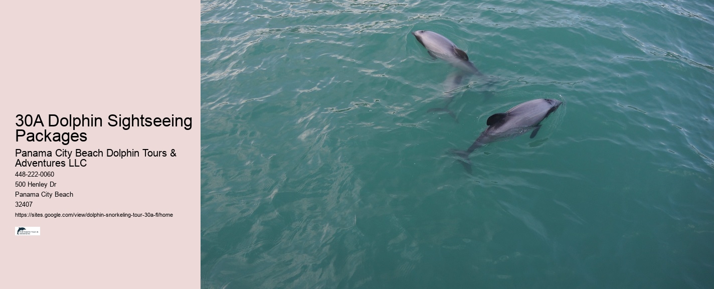 Dolphin Tours Reviews
