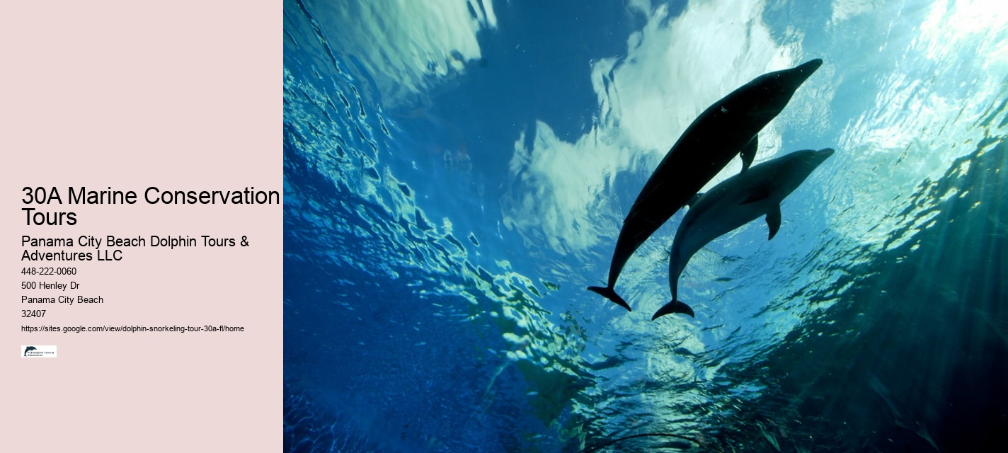 30A Marine Conservation Tours