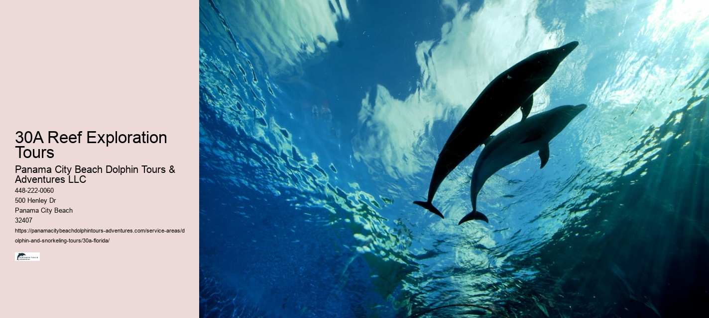 30A Reef Exploration Tours