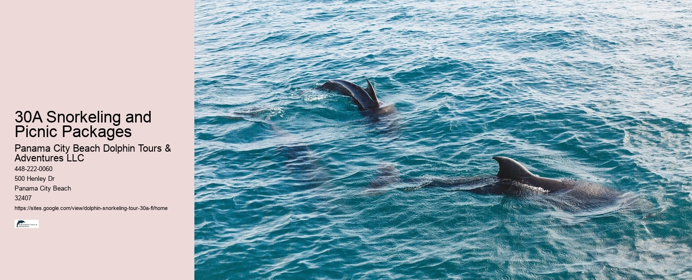 30A Snorkeling and Picnic Packages