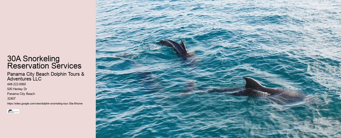 Jet Ski Dolphin Tours Near Me