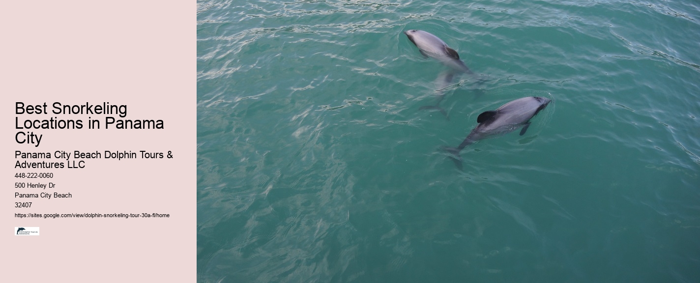 Why Do Dolphins Swim With Boats