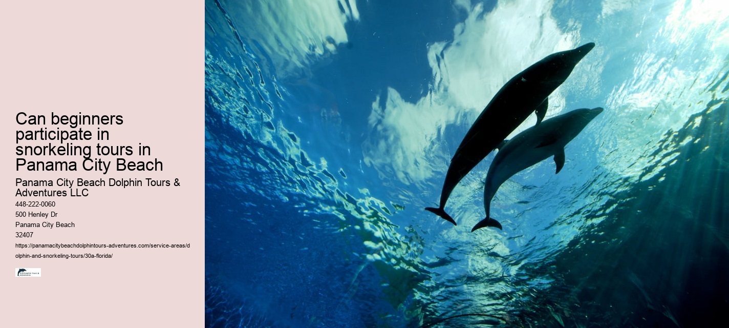Can beginners participate in snorkeling tours in Panama City Beach
