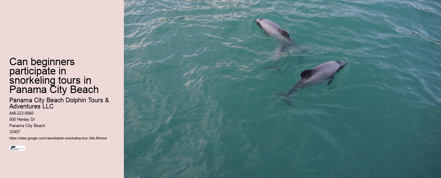 Dolphin Watch Boat Tours Near Me