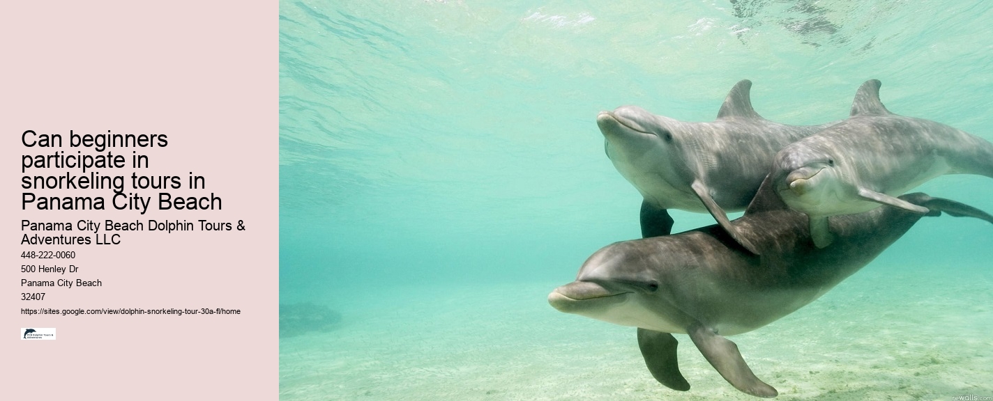 Dolphin Trainer Meaning
