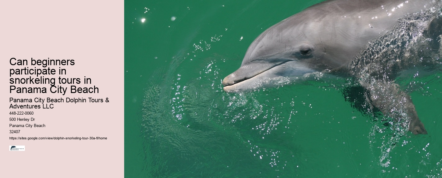 Grayton Beach Underwater Tours