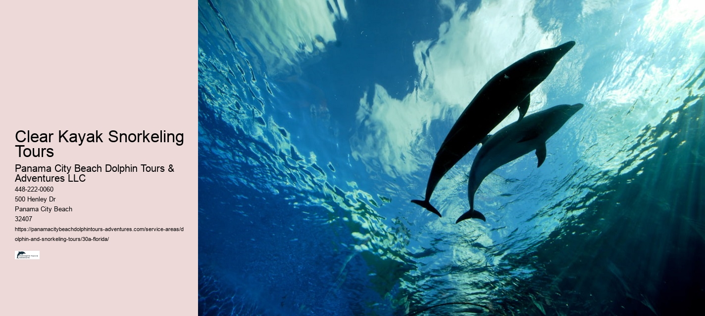 Clear Kayak Snorkeling Tours