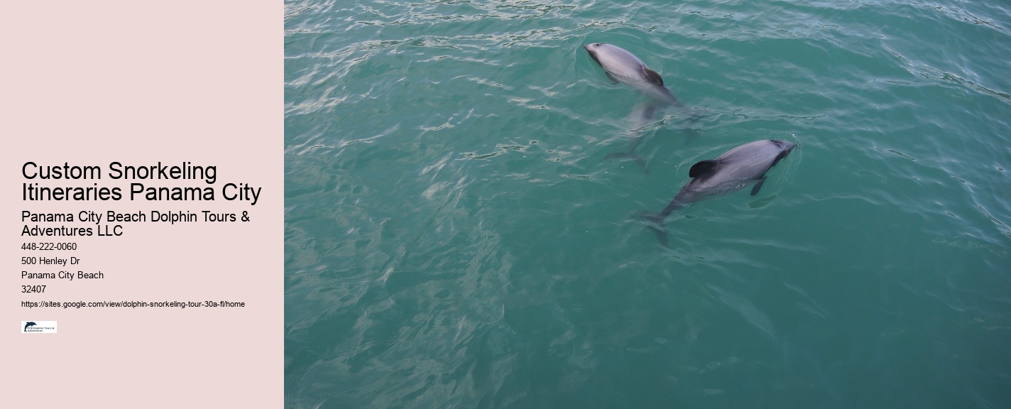 Dolphin Boat Tour Near Me