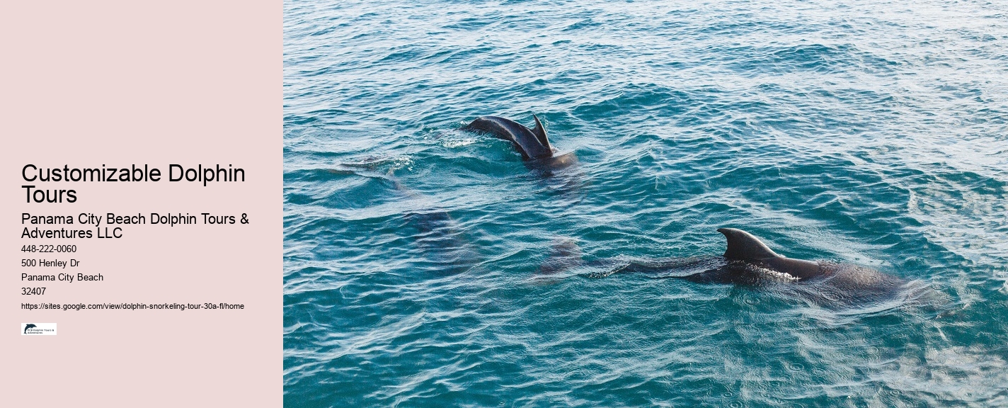 Group Snorkeling Trips