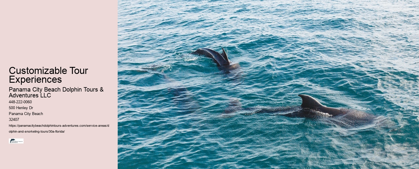 What does it mean when dolphins swim around you