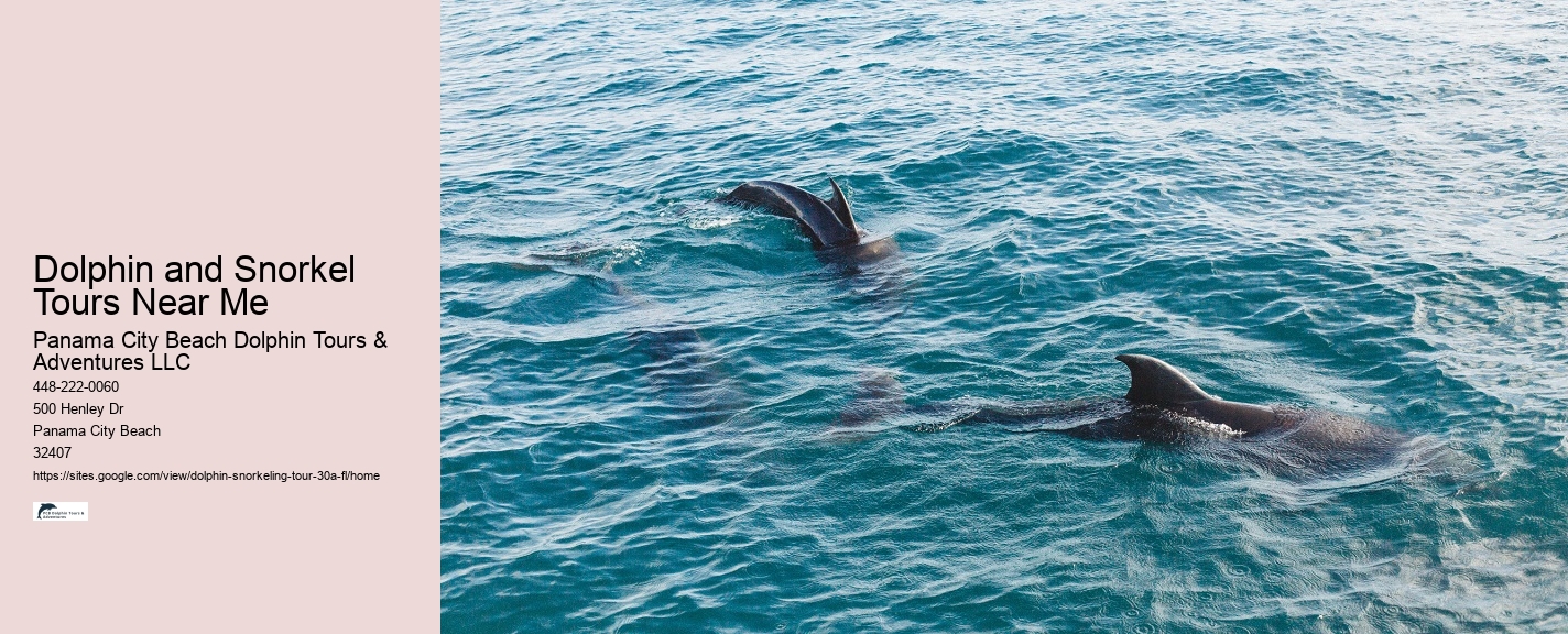 Full-Day Snorkeling Trips 30A