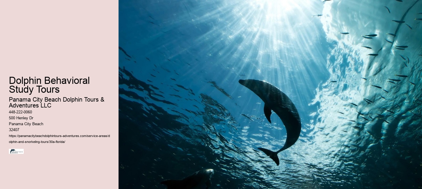 Dolphin Behavioral Study Tours