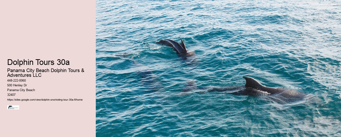 Dolphins How To Watch