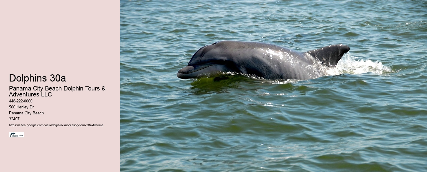 What is the natural enemy of dolphins