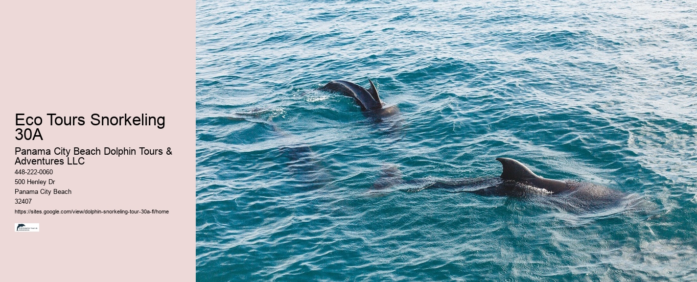 Eco-Friendly Marine Tours
