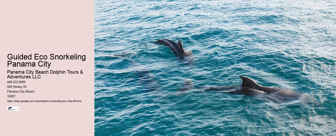 Snorkeling 30a Florida Cruise