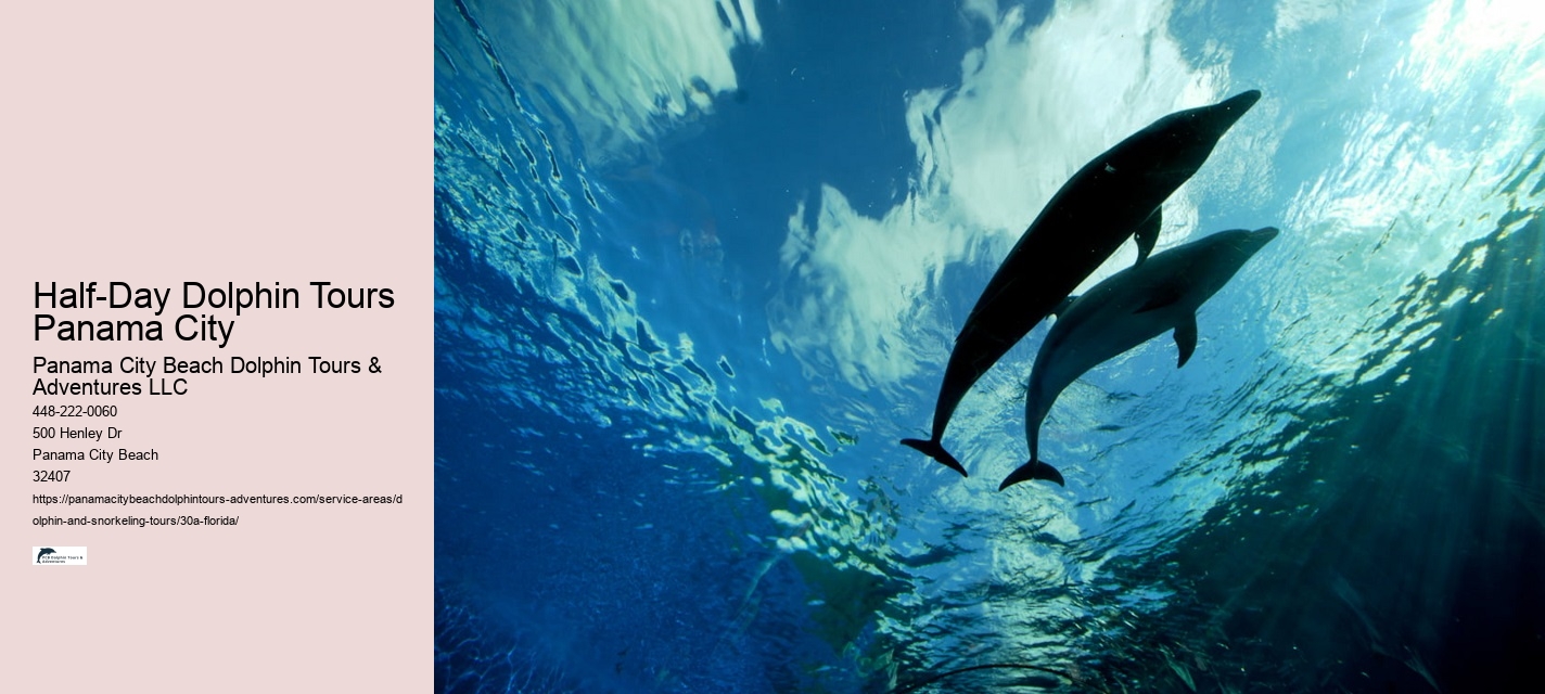 Half-Day Dolphin Tours Panama City