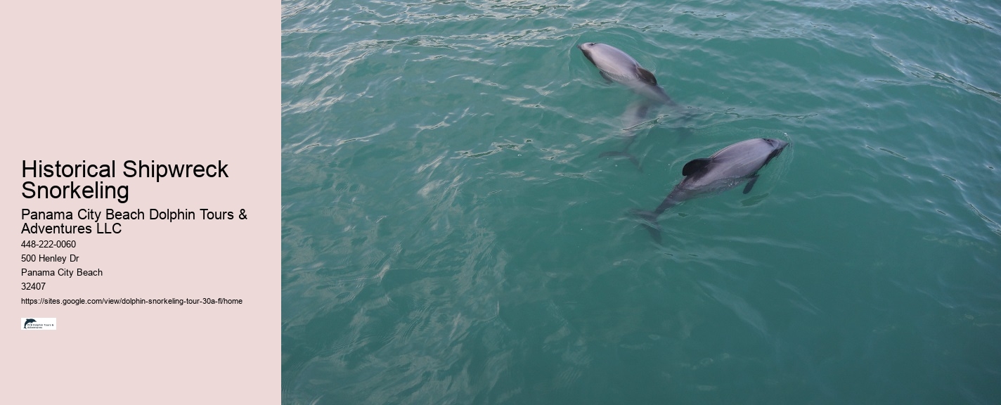 What sharks are in 30A