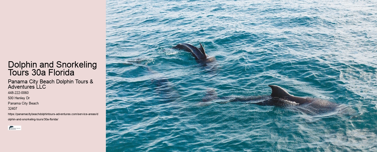 Customizable Dolphin Tours