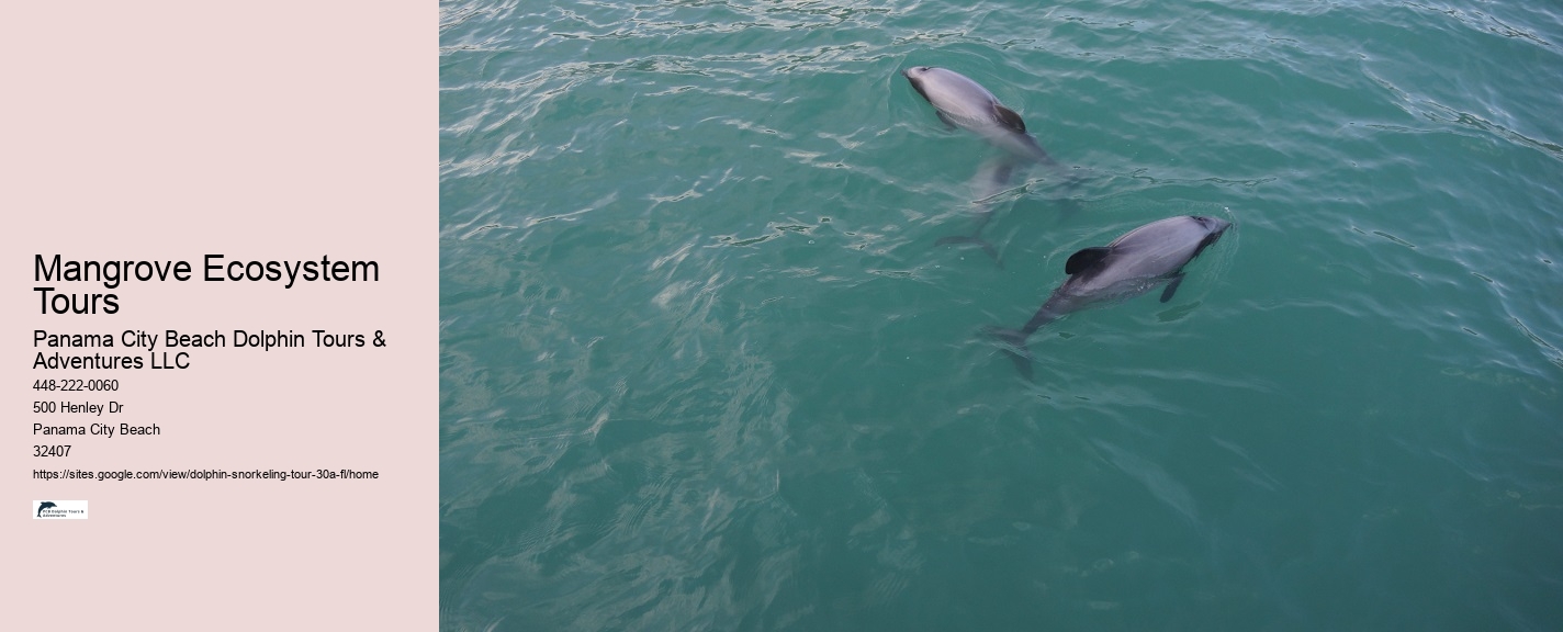 Guided Marine Life Tours Panama City