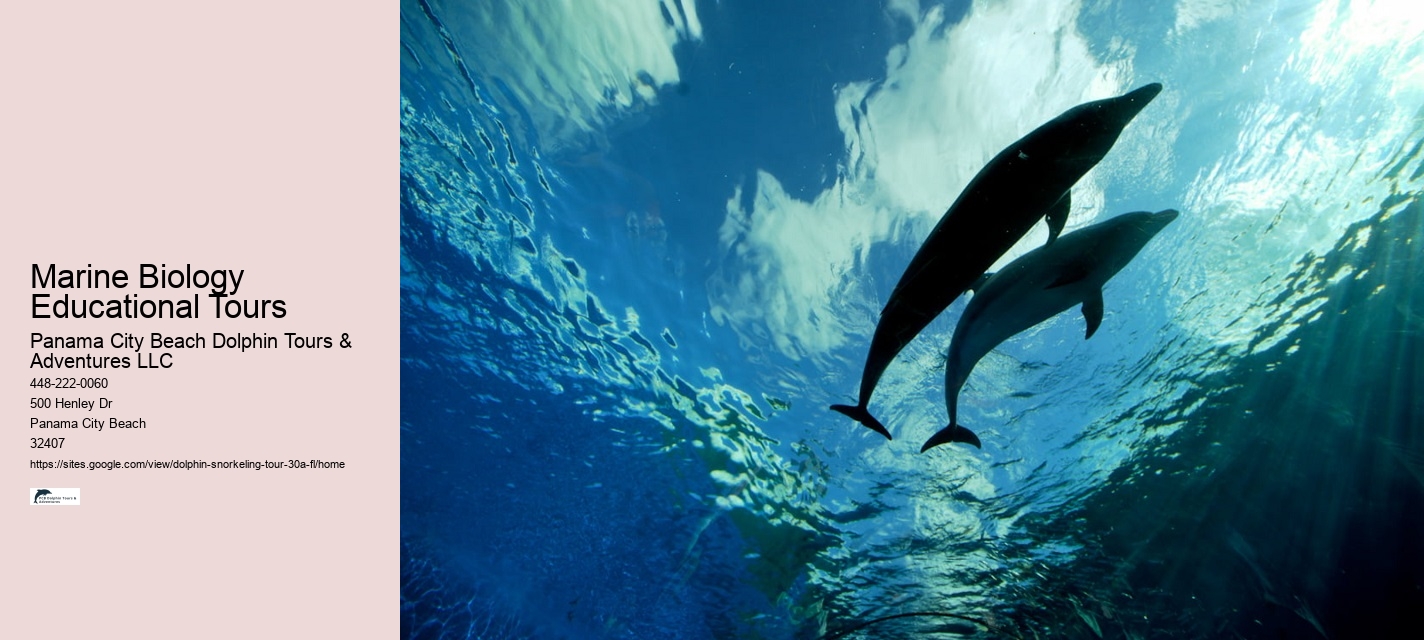 Grand-mere Dolphin Cruise