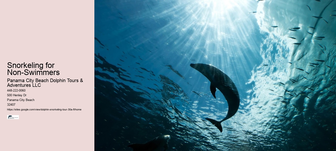 Best Snorkeling Tours