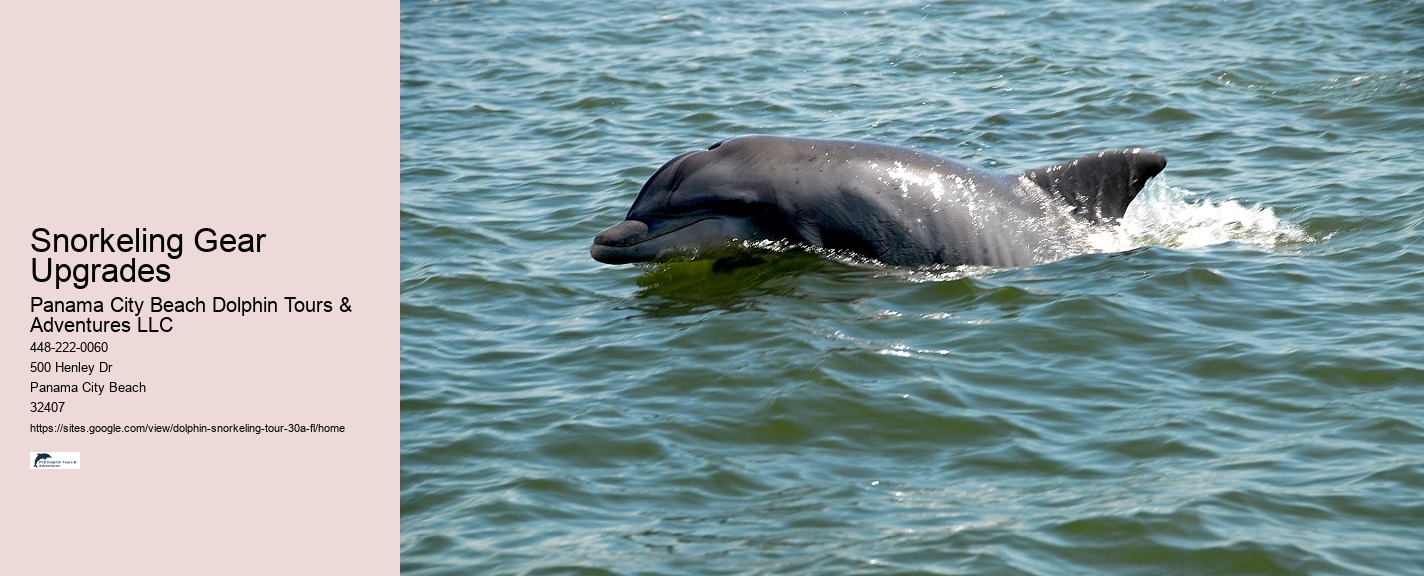 Blue Dolphin Tour