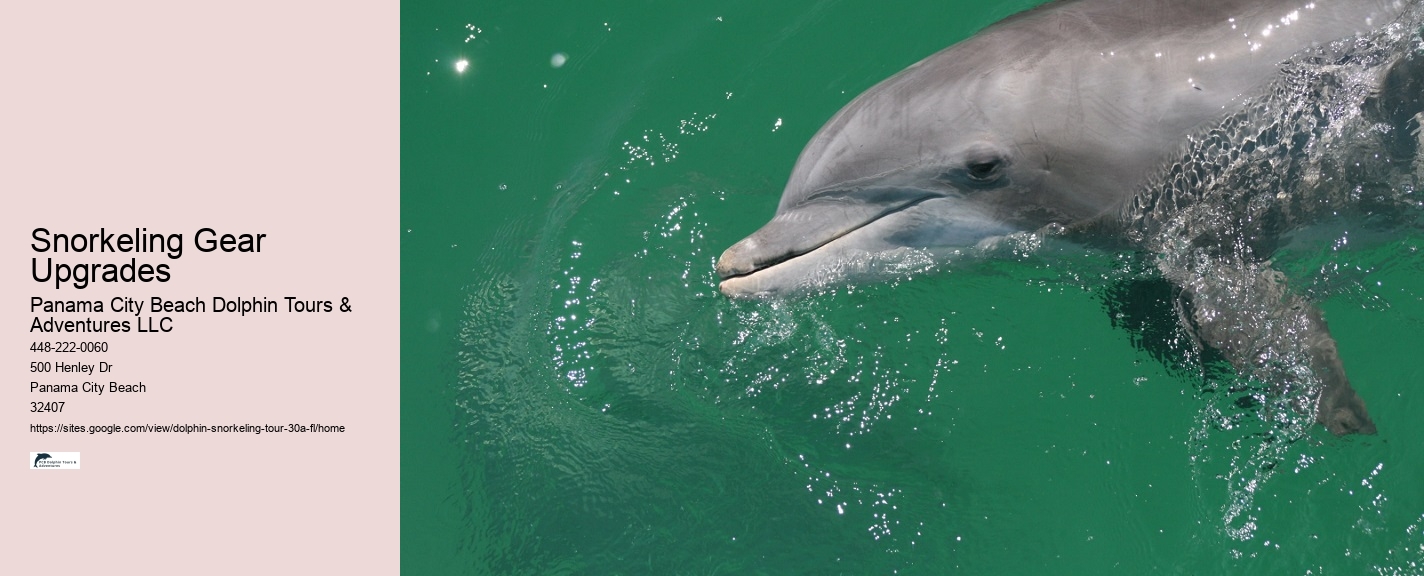 Scuba Diving 30a Florida