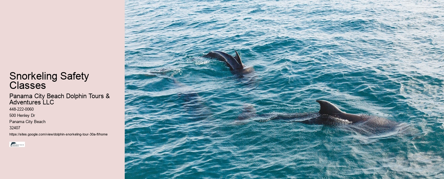 Snorkeling In 30a
