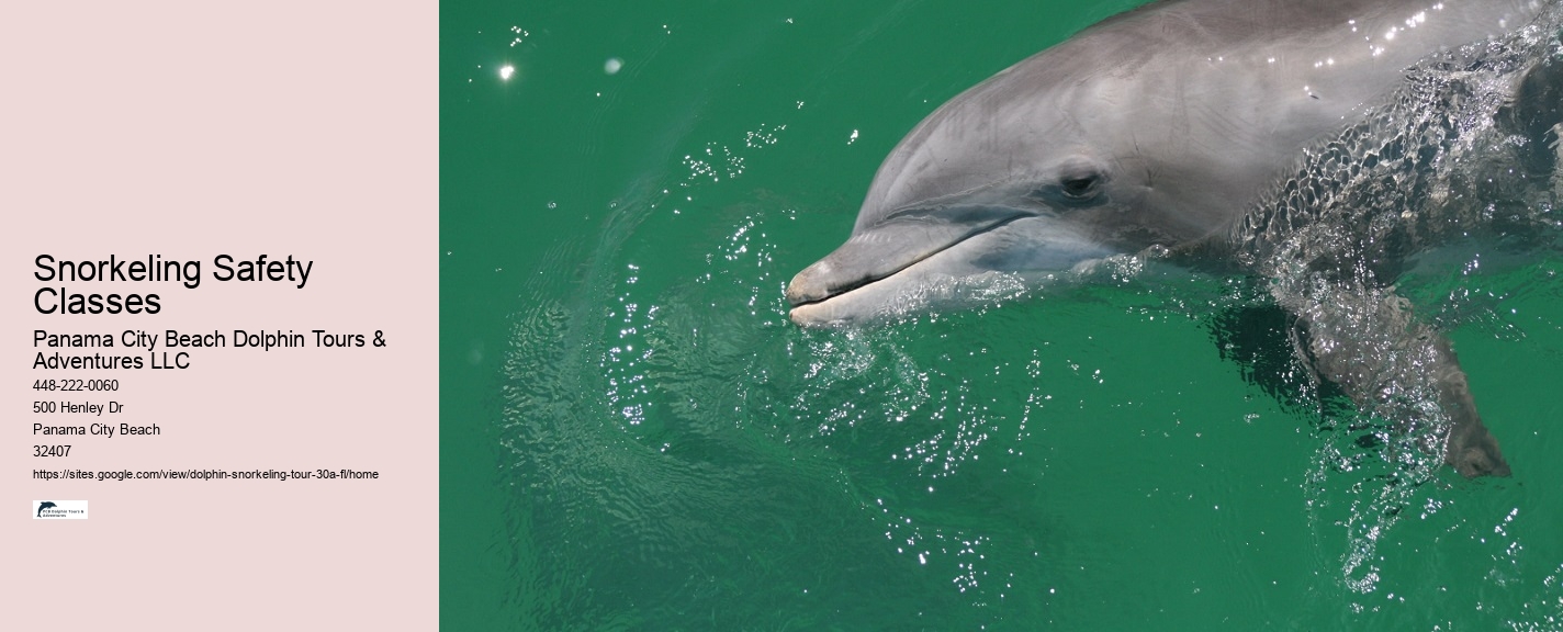 and Snorkeling Tours 30a