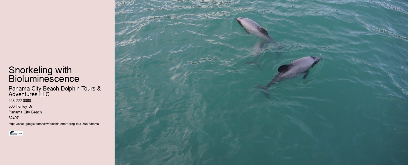 Dolphin Watching Tours Near Me