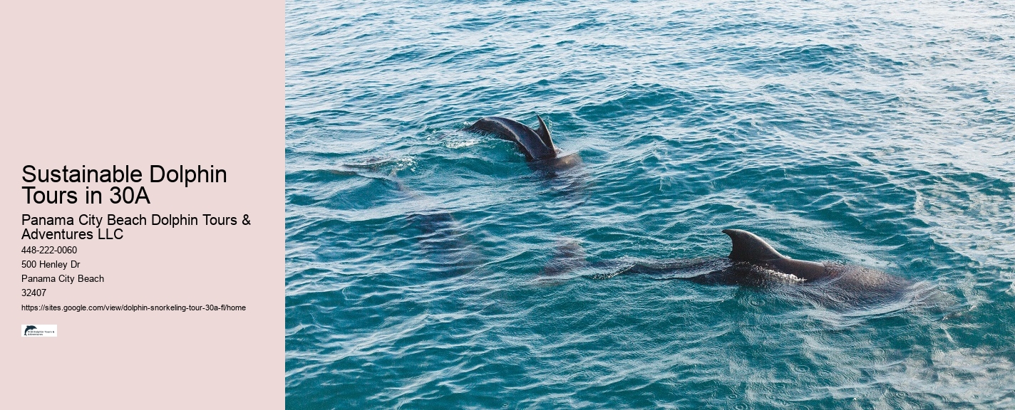 Dolphin Boat Tour In Clearwater Beach With Free Ice Cream
