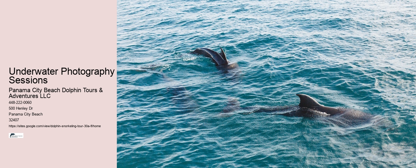 Sunset Dolphin Tours 30A