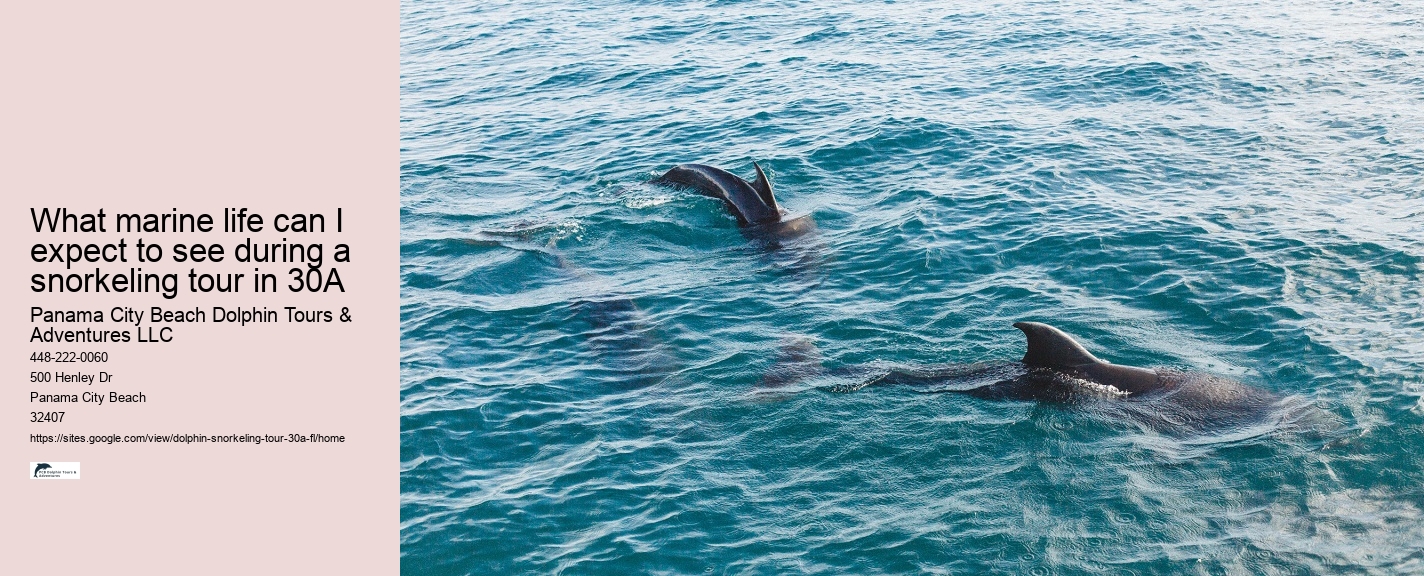 Boy On A Dolphin Watch Online