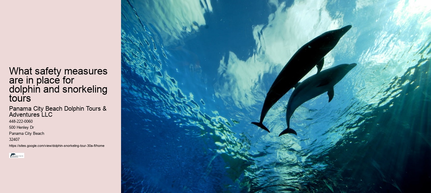 What Is Dolphin Show