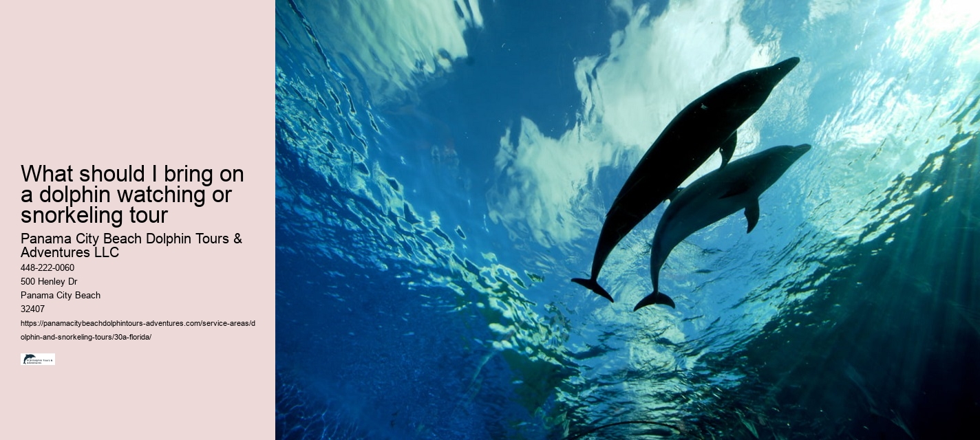 Dolphin and Sunset Cruise
