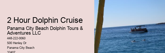 Are dolphin tours in Panama City Beach suitable for children