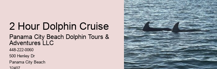 Split Adventurous Dolphin And Snorkeling Excursions