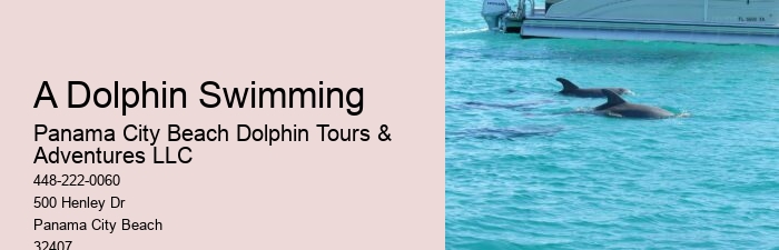 Split Island-hopping Tours With Dolphin Spotting And Snorkeling