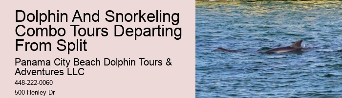 Do You Get Wet On A Dolphin Cruise