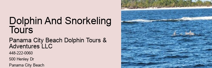 Panama City Beach Dolphin Voyage Tours