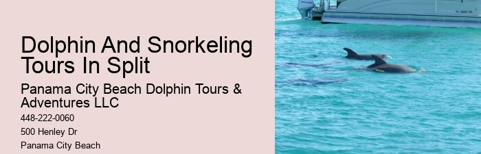 Do You Get Sea Sick On A Dolphin Cruise