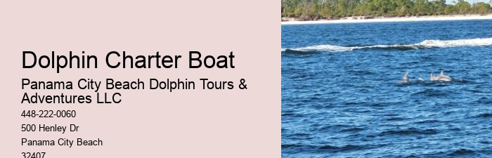 Split Bespoke Snorkeling And Dolphin Itineraries