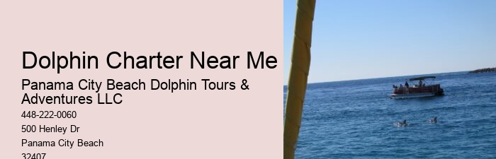 Salty Mary Dolphin And Snorkel Tours Reviews