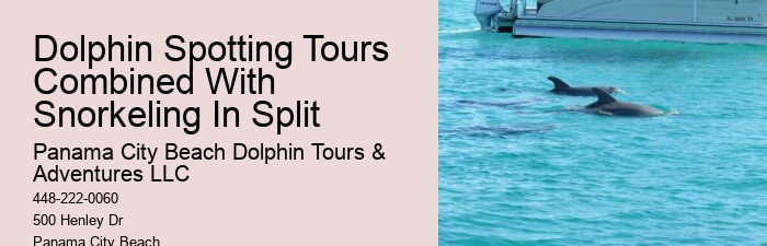 What is the average group size on a dolphin tour in Panama City Beach