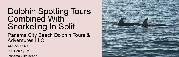 Dolphin Tours Tarpon Springs