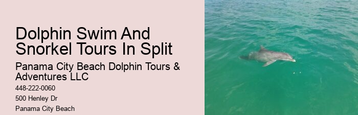 Why You Should Not Swim With Dolphins