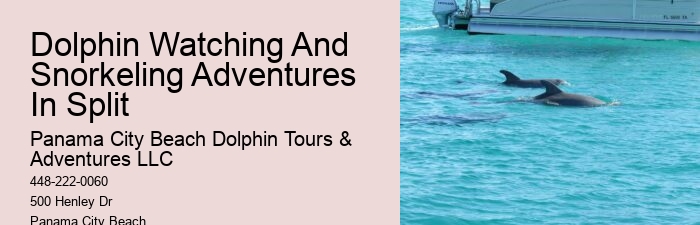 Split Boat Tours With Dolphin Watching